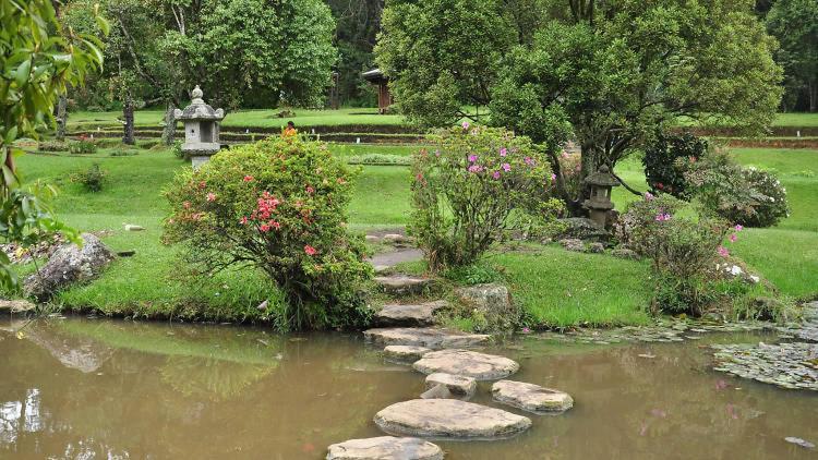 Avenue Nuwara Eliya公寓 外观 照片